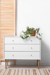 Green plant on chest of drawers in light room