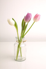 White spring tulips in a vase on a white table. Mock up for displaying works