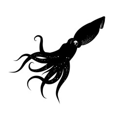 octopus , silhouette of a squid – vector illustration © KR Studio