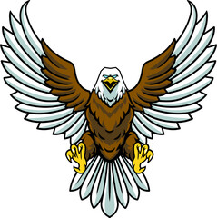 Flying Bald Eagle Front View Vector Cartoon Character Illustration