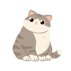 Funny fat cat on white background. Gray kitten isolated. Vector character