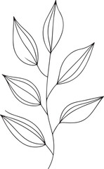 Elegant Botanical Illustration with Symmetrical Leaves and Clean Lines in Minimalist Style Perfect for Nature-Inspired Modern Art and Decor