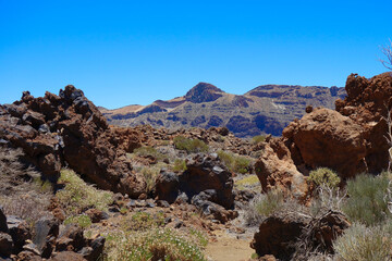 red rock canyon