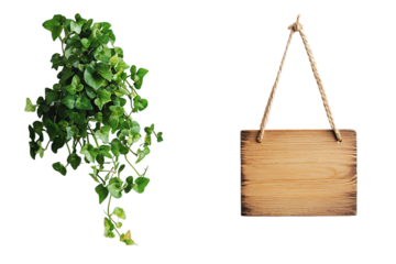 Lush Green Ivy and Rustic Wooden Hanging Sign on Transparent Background, PNG
