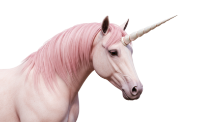 Isolated Majestic Unicorn Head with Pink Mane and Horn
