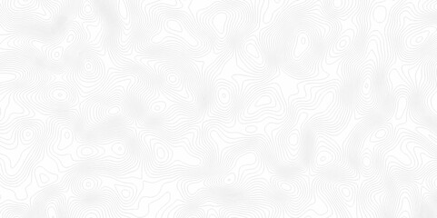 White topography topology vector white background fresh contour map texture. white seamless pattern Abstract background with a wave Topography and geography map grid abstract backdrop.