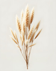 Lifelike 3D rendering of an Austrostipa ramosissima grass clump floating on a clear transparent backdrop. with white shades