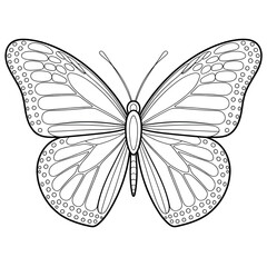 A black and white butterfly illustration line art of a coloring page