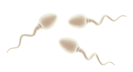 Naklejka premium Isolated Group of Sperm Cells Representing Fertility and Reproduction