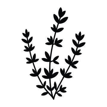 recommend clip art: Thyme Silhouette, Vector, Icon, Logo, White Background.