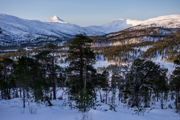 Ånderdalen Nasjonalpark view, norway