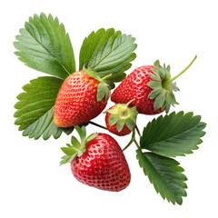 Strawberries with leaves isolated on white background