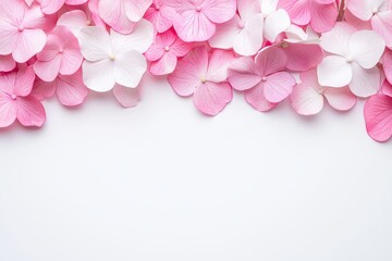 Soft pink and white flower petals on clean white background
