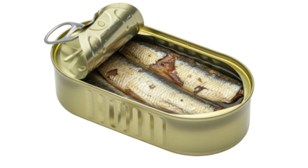 Isolated Open Can of Sardines in Oil Ready to Serve