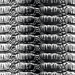 Alligator Scale Texture – Seamless Black and White Animal Skin Pattern