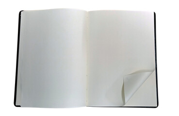 blank book with blank pages