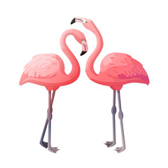 vector pink flamingo birds animal clip art isolated on transparent background. Hand drown design element. 