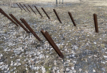 Czech hedgehogs deployed at forest © Vlad Ivantcov