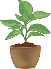 다양한 스타일의 화분, 식물, 실내 식물, 자연, 실내 장식, 꽃, 공기정화 식물, 다양한 크기의 화분