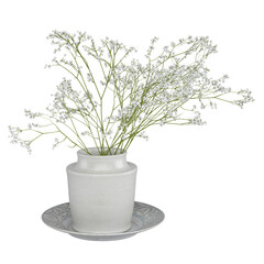 bonsai tree isolated on white