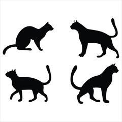 silhouettes of cats