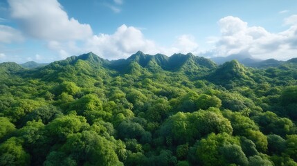 Obraz premium Lush green forested mountains under a vibrant sky