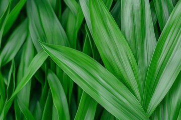 Obraz premium minimalist environment advertisement, cinematic style, elegant tone, poster, motion blur, cinematic lighting, earthy tones, peaceful mood, close-up, natural background