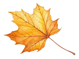 vibrant orange maple leaf showcasing intricate veins and smooth texture, symbolizing autumn beauty and transition