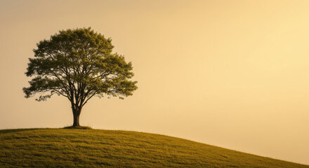 A solitary tree stands on a small hill against a soft, golden background.
