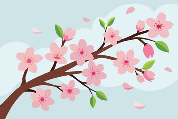 cherry blossom background