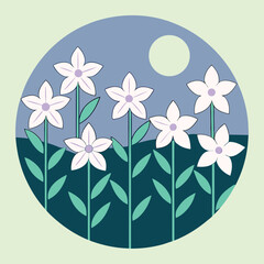 A field-of-nicotiana--fragrant-evening-blooms 