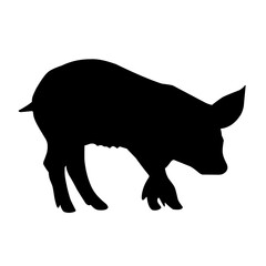 Pig silhouette isolated on white background. vector illustration