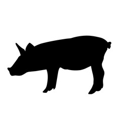 Pig silhouette isolated on white background. vector illustration
