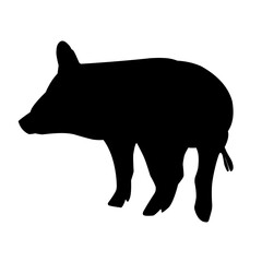 Pig silhouette isolated on white background. vector illustration