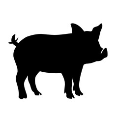 Pig silhouette isolated on white background. vector illustration