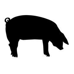 Pig silhouette isolated on white background. vector illustration