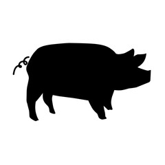 Pig silhouette isolated on white background. vector illustration
