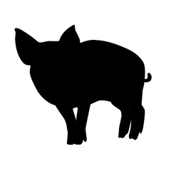Pig silhouette isolated on white background. vector illustration