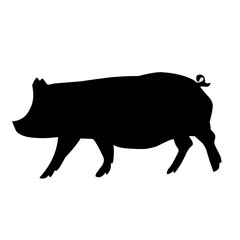 Pig silhouette isolated on white background. vector illustration