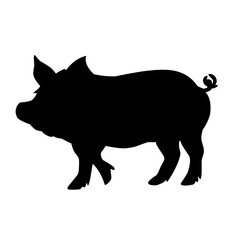 Pig silhouette isolated on white background. vector illustration