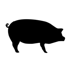 Pig silhouette isolated on white background. vector illustration