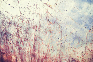 Blurred photo of grass and plants behind the foil, abstract background.