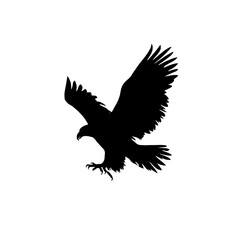Obraz premium Silhouette of eagle soaring with wings spread wide isolated on white background