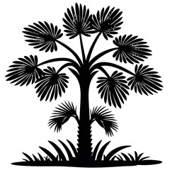 Traveler's palm tree icon silhouette vector 