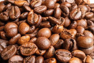 coffee beans on a white background