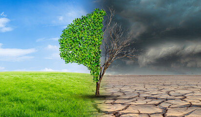 Drought and Green Nature  Landscape. Tree in an imaginary landscape in climate change from drought to green growth. Environment and sustainability concept. Net Zero 2050.