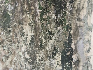 Abstrack old wall with peeling paint weathered texture background 