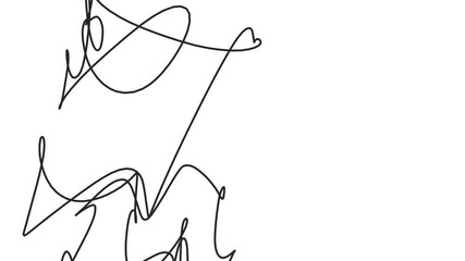 Clusters of wires or lines flicker and jump back and forth on the screen.