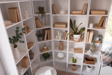 Stylish interior of home library