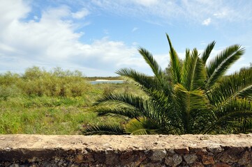 Fototapeta premium Cabanas- Portugal